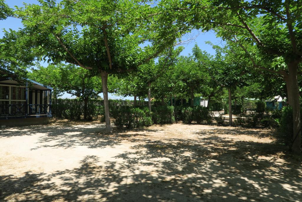 Camping Azul Oliva Exteriör bild
